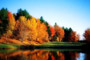 客户介绍